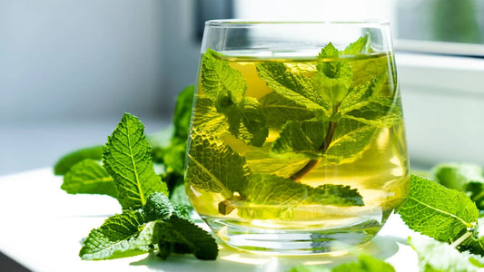 A glass of mint tea backlit by the sun on a tabletop.