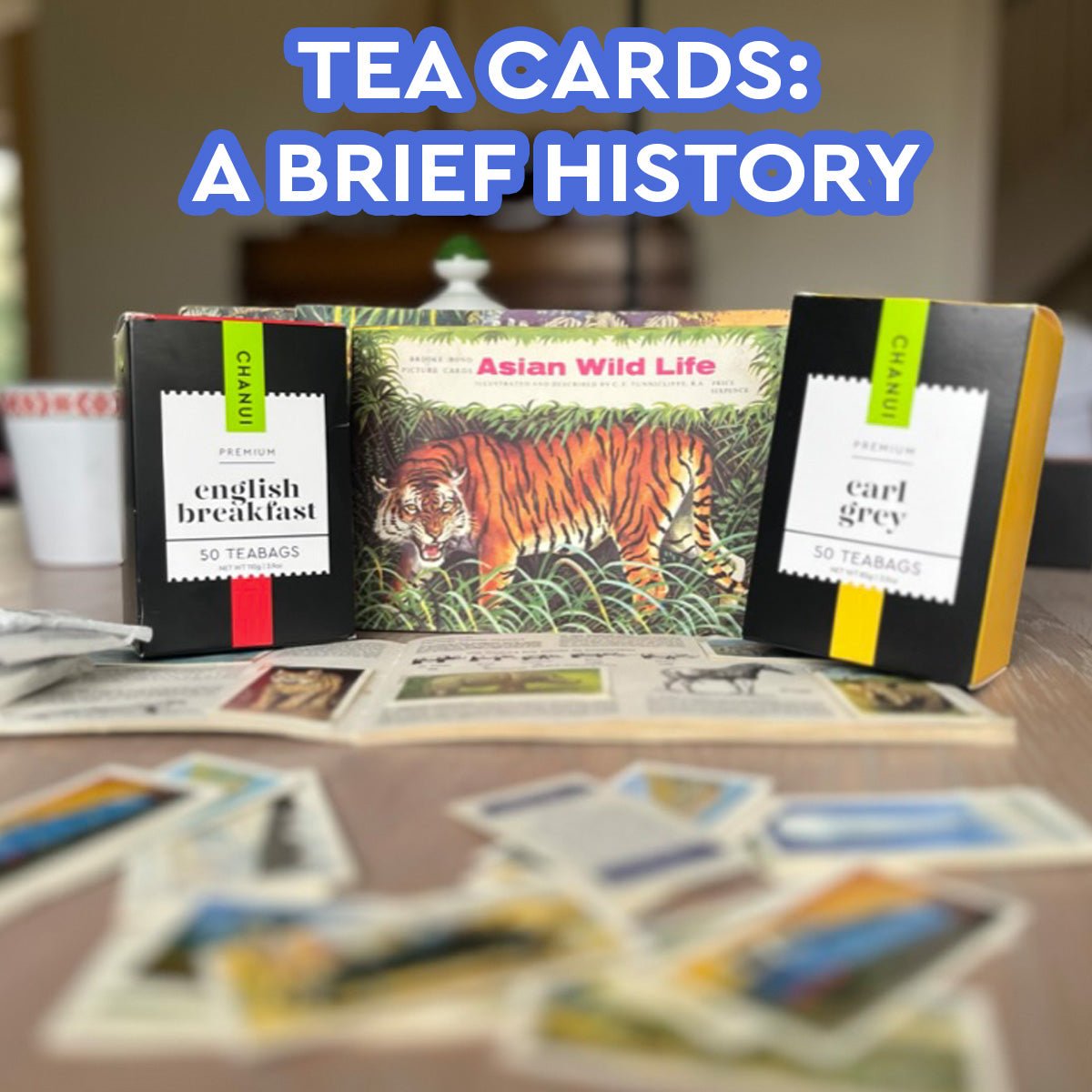 rare tea cards 1960s Hornimans 1960s On Safari by B.L. Driscoll featuring Desmond Morris The Most Valuable Sinistea Pokemon