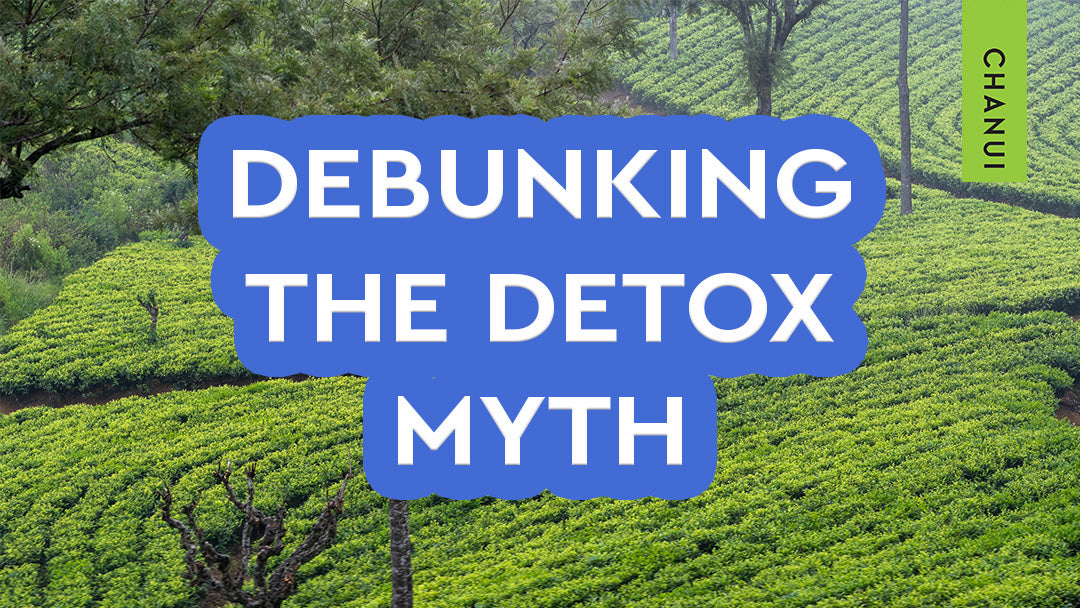 Debunking the detox myth: Embracing the real benefits of tea