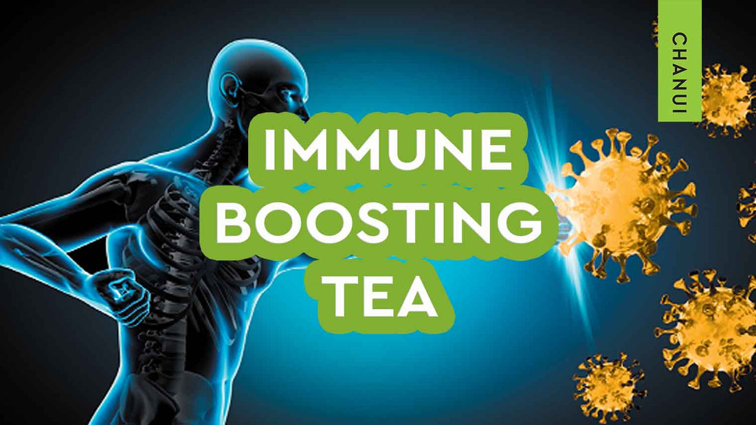 Chanui Tea Immune boosting tea – Chanui