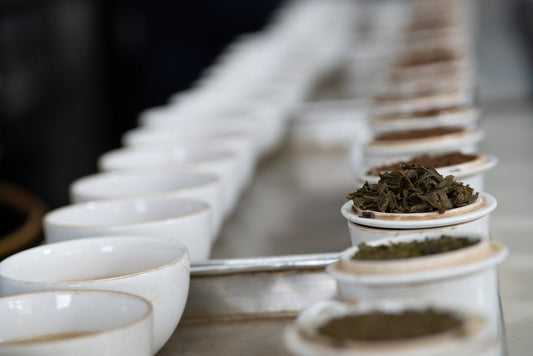 A beginners guide to tea grading - Chanui