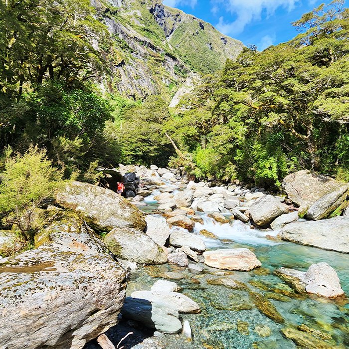 What a Brush With Danger Taught Me About Tea - Chanui