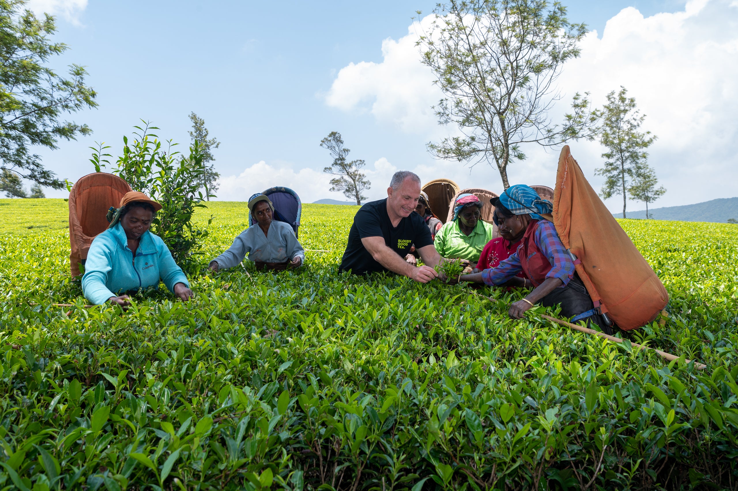 Doug Hastie and 6 tea pickers work on a plantation in Sri Lanka 