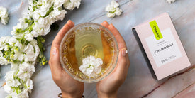 Your Favourite Online Tea Shop Online - Shop Here | Chanui